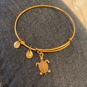 Alex and Ani Turtle Gold Bracelet